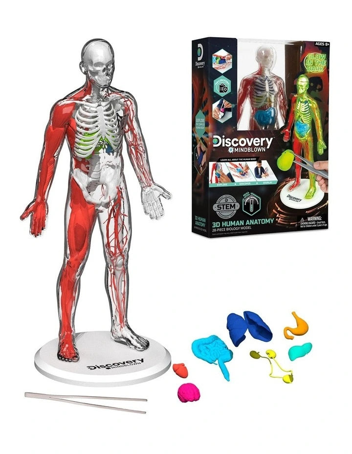 Discovery Mindblown 3D Human Anatomy