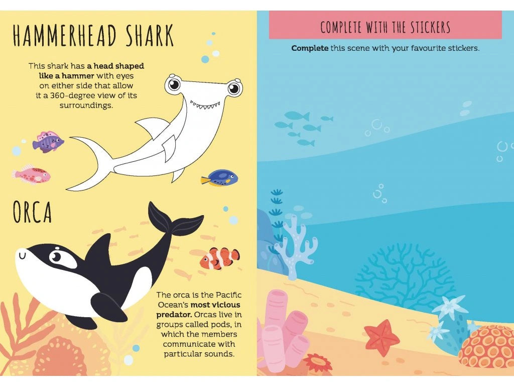 Card Games: Watch Out For The Shark