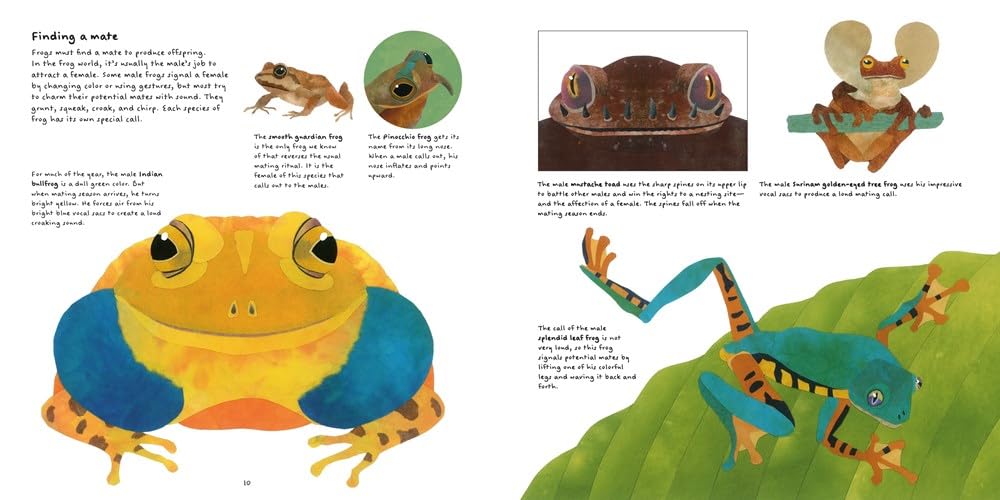 The Frog Book