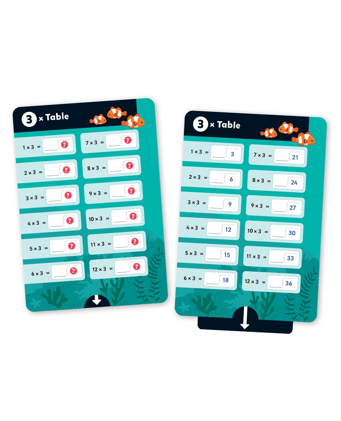 Junior Explorers Pull & Learn Flashcards Times Tables