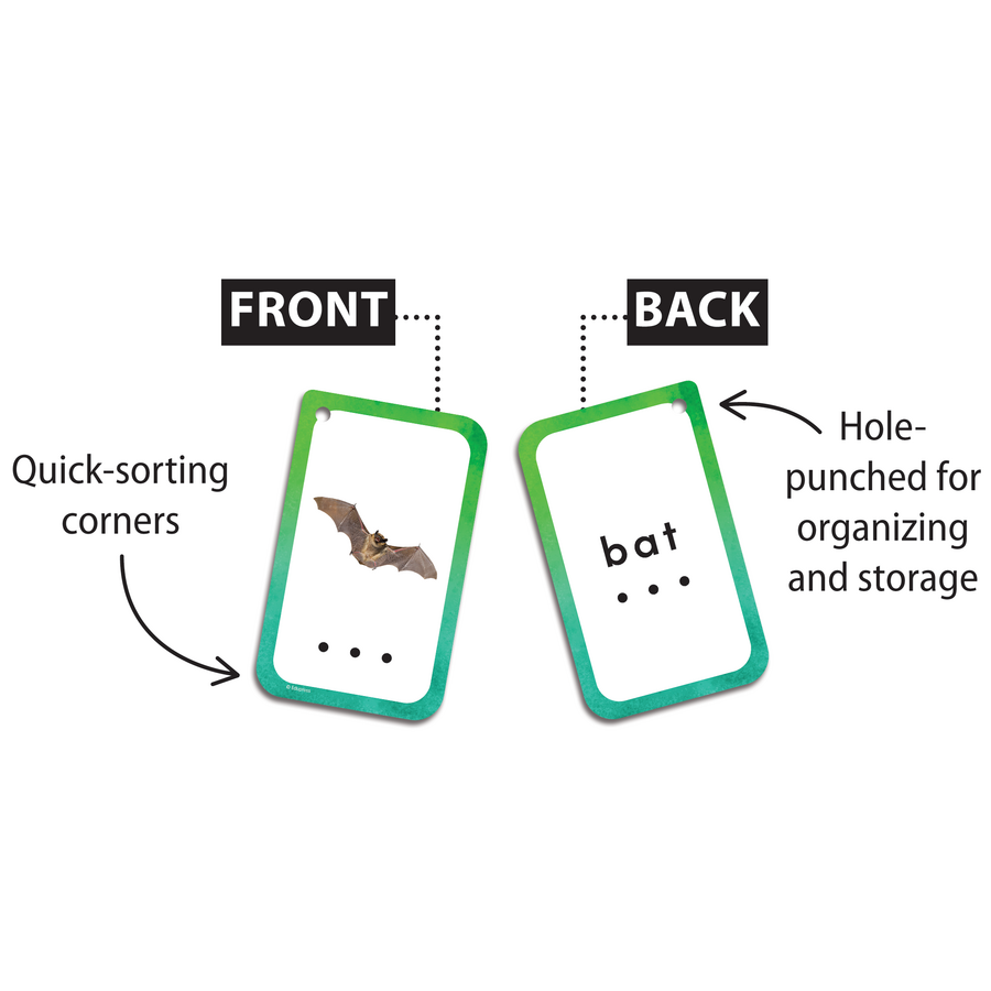 Teacher Created Resources Decoding CVC Words Flash Cards