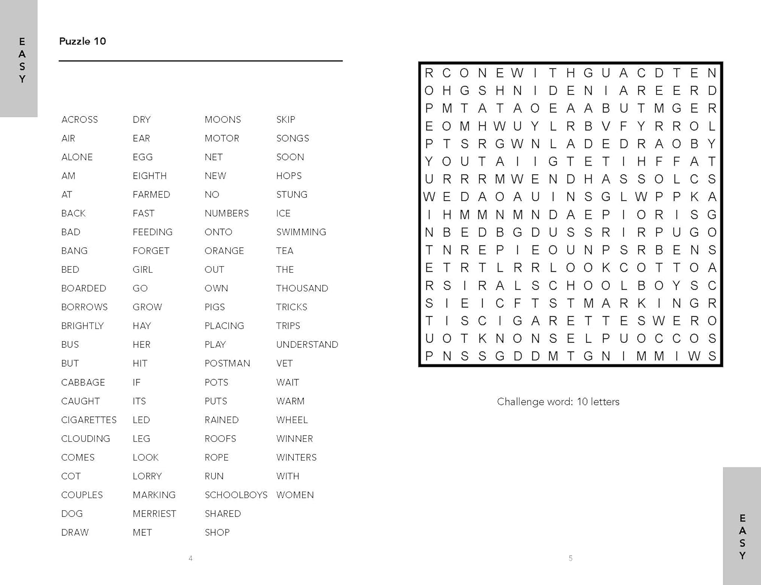 Word Search Challenge