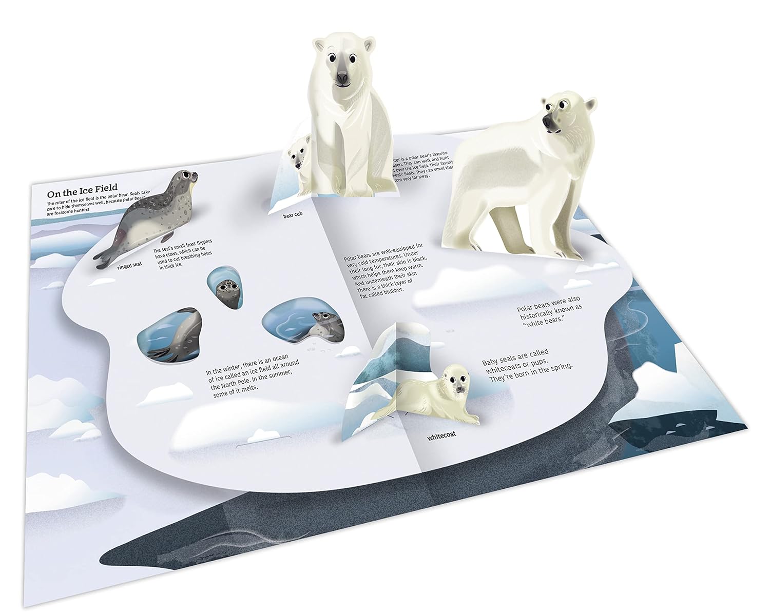 Ultimate Spotlight: Polar Animals