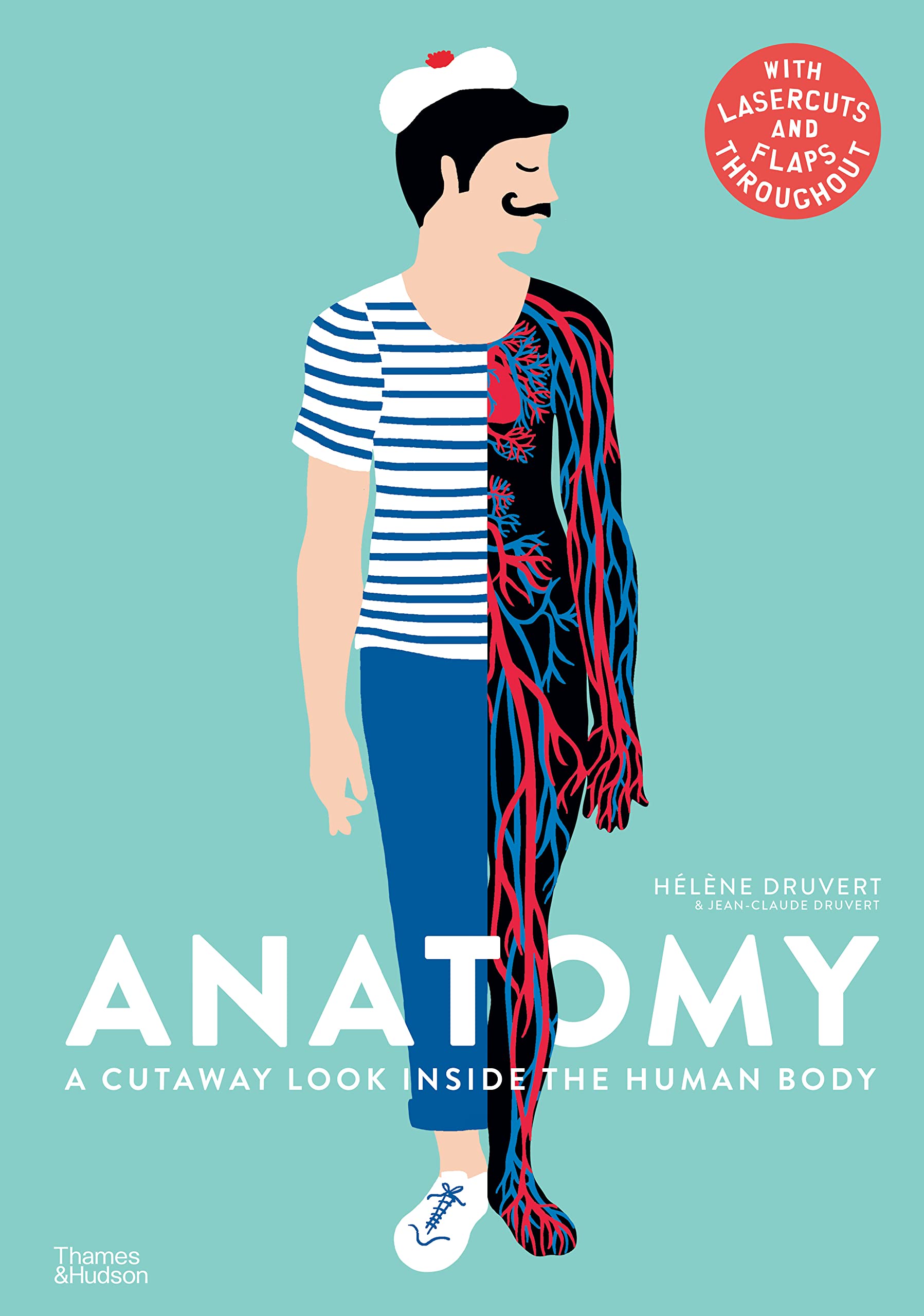 Anatomy - A Cutaway Look Inside The Human Body