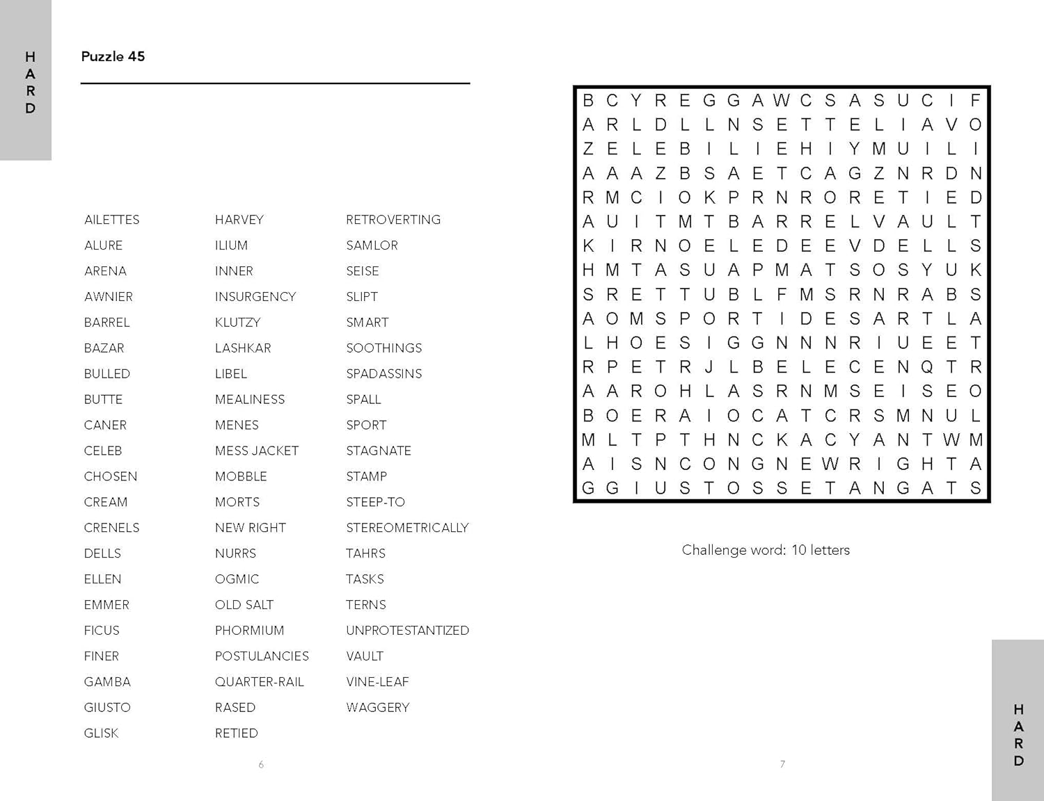 Word Search Challenge