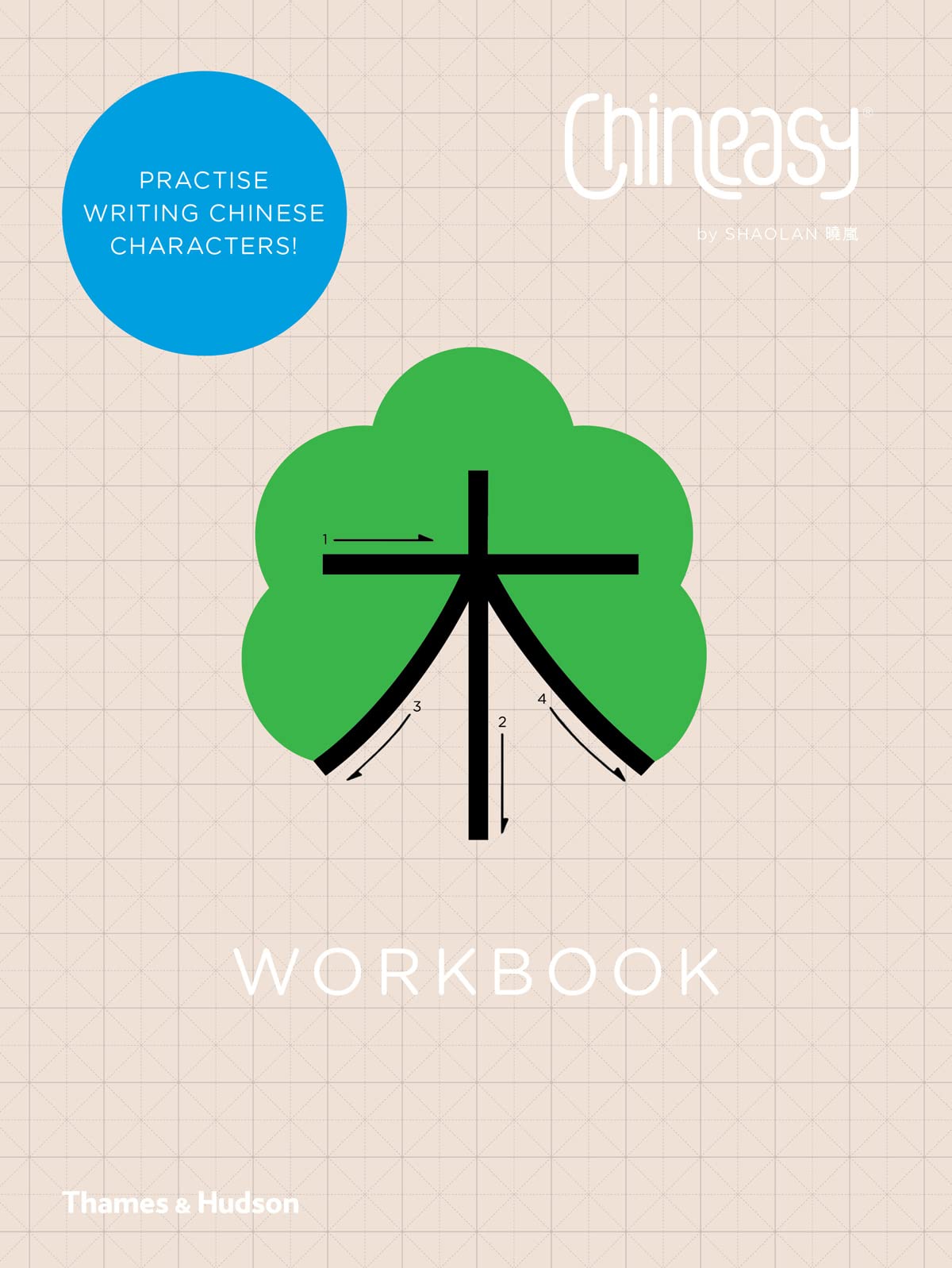 Chineasy Workbook