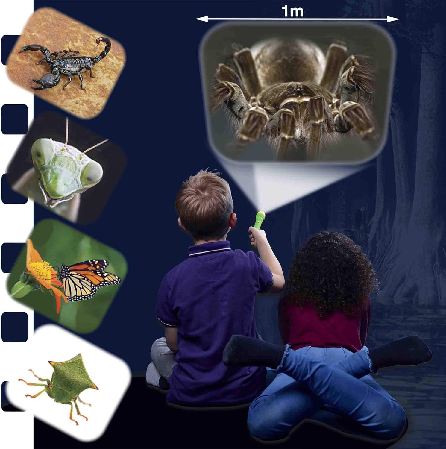 Brainstorm Torch & Projector: Natural History Museum Creepy Crawly