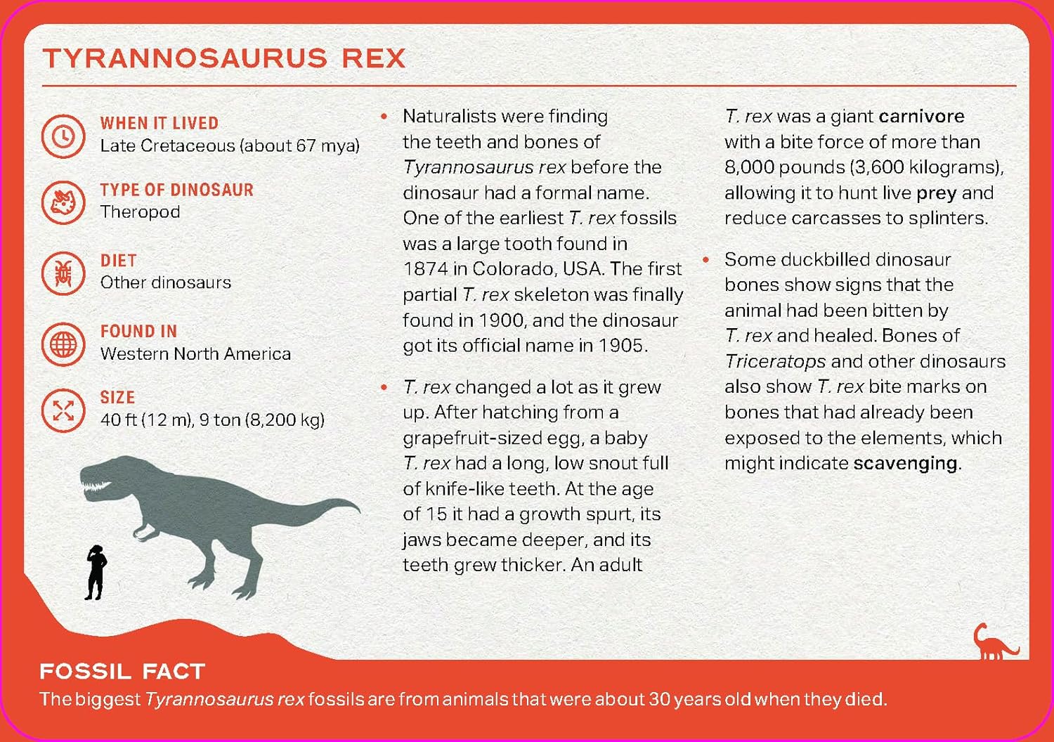 The Dinosaur Deck: 52 Of The Most Fascinating Dinosaurs