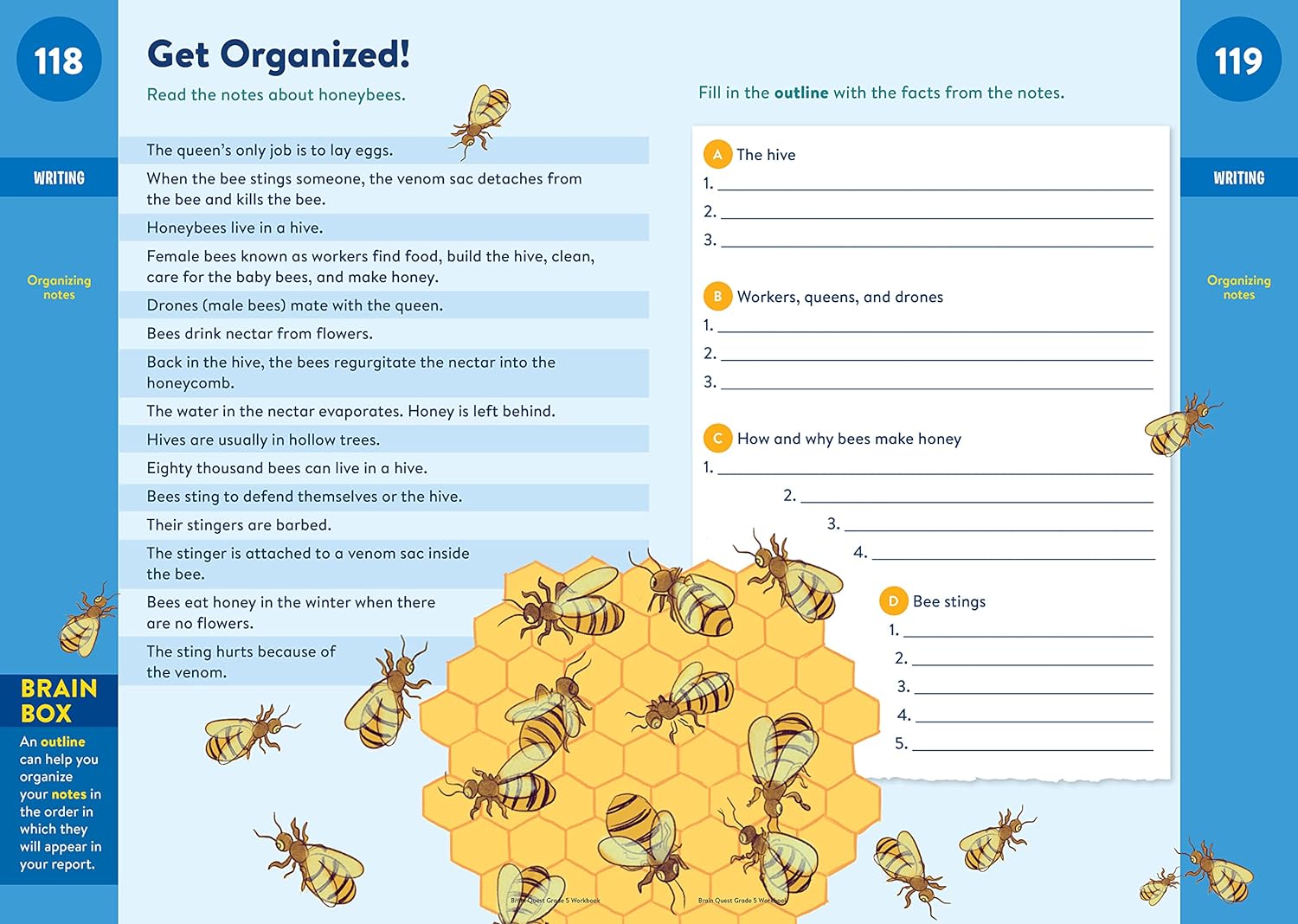 Brain Quest Workbooks: Grade 5