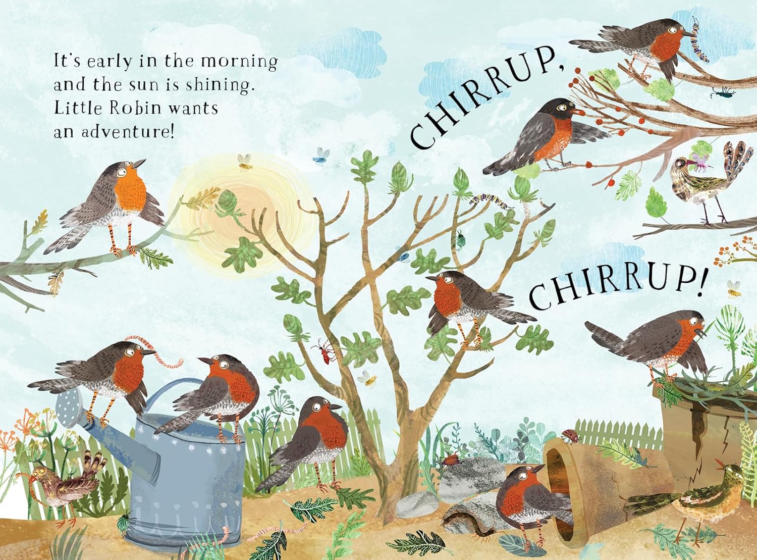 Little Robins Book of Birds by Yuval Zommer