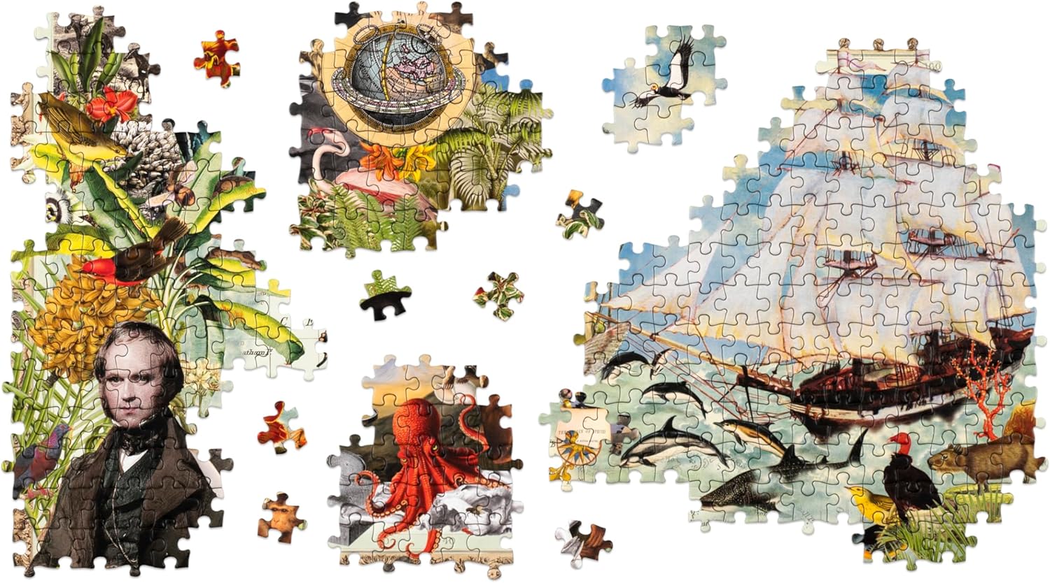 Charles Darwin's Voyage On H.M.S. Beagle: A 1000-Piece Jigsaw Puzzle