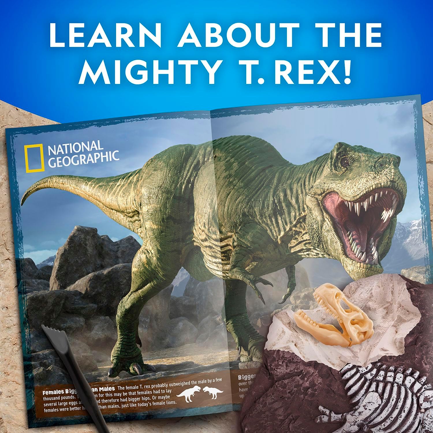 National Geographic T-Rex Skeleton Dig Kit