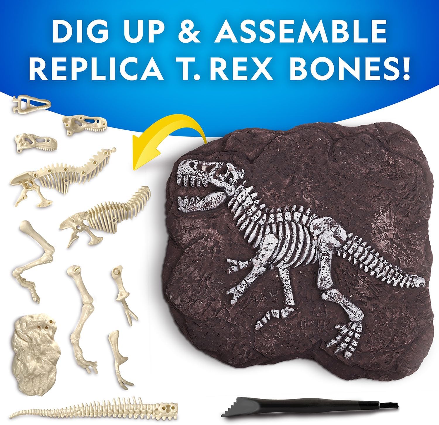 National Geographic T-Rex Skeleton Dig Kit