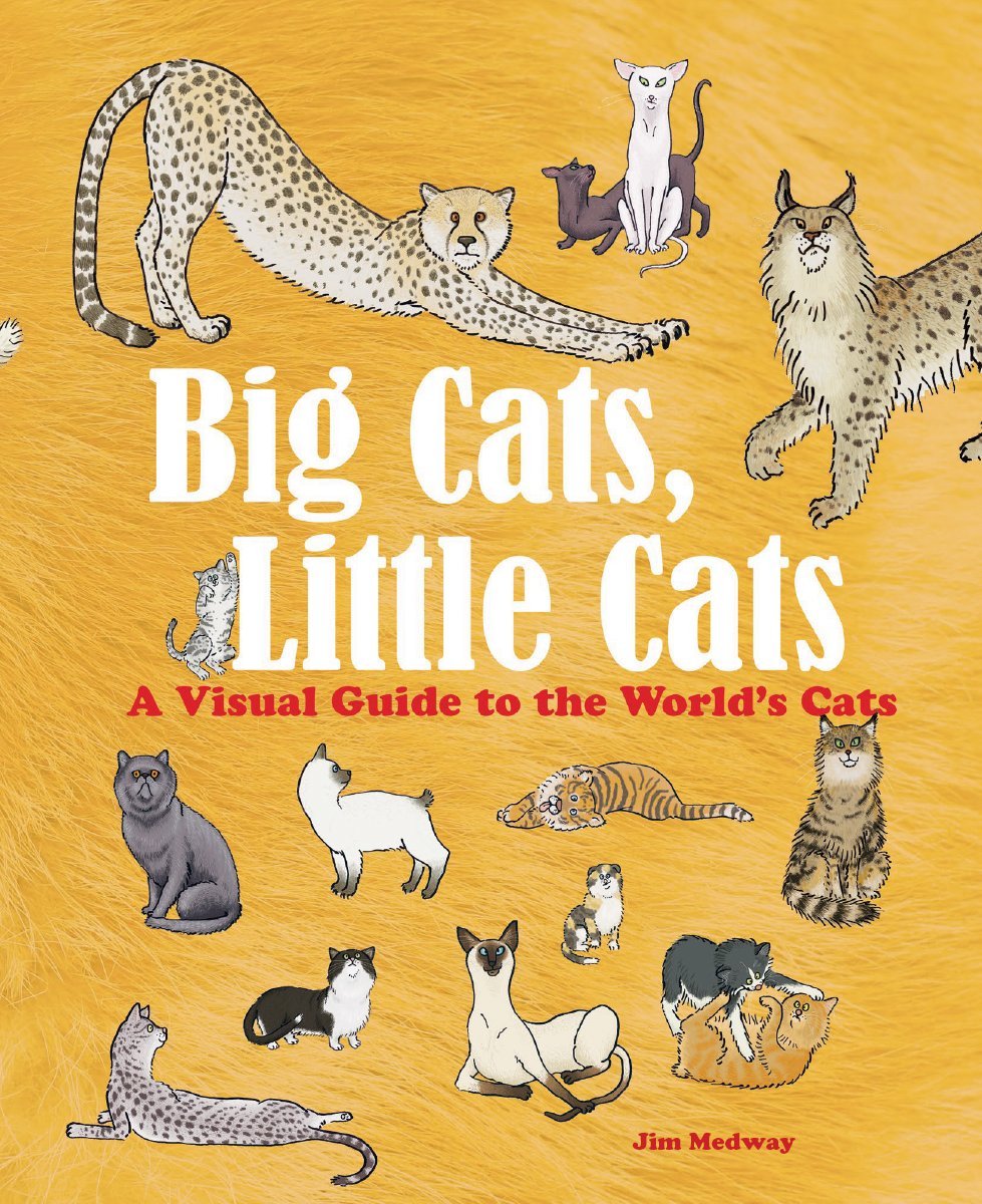 Big Cats, Little Cats: A Visual Guide to the World’s Cats