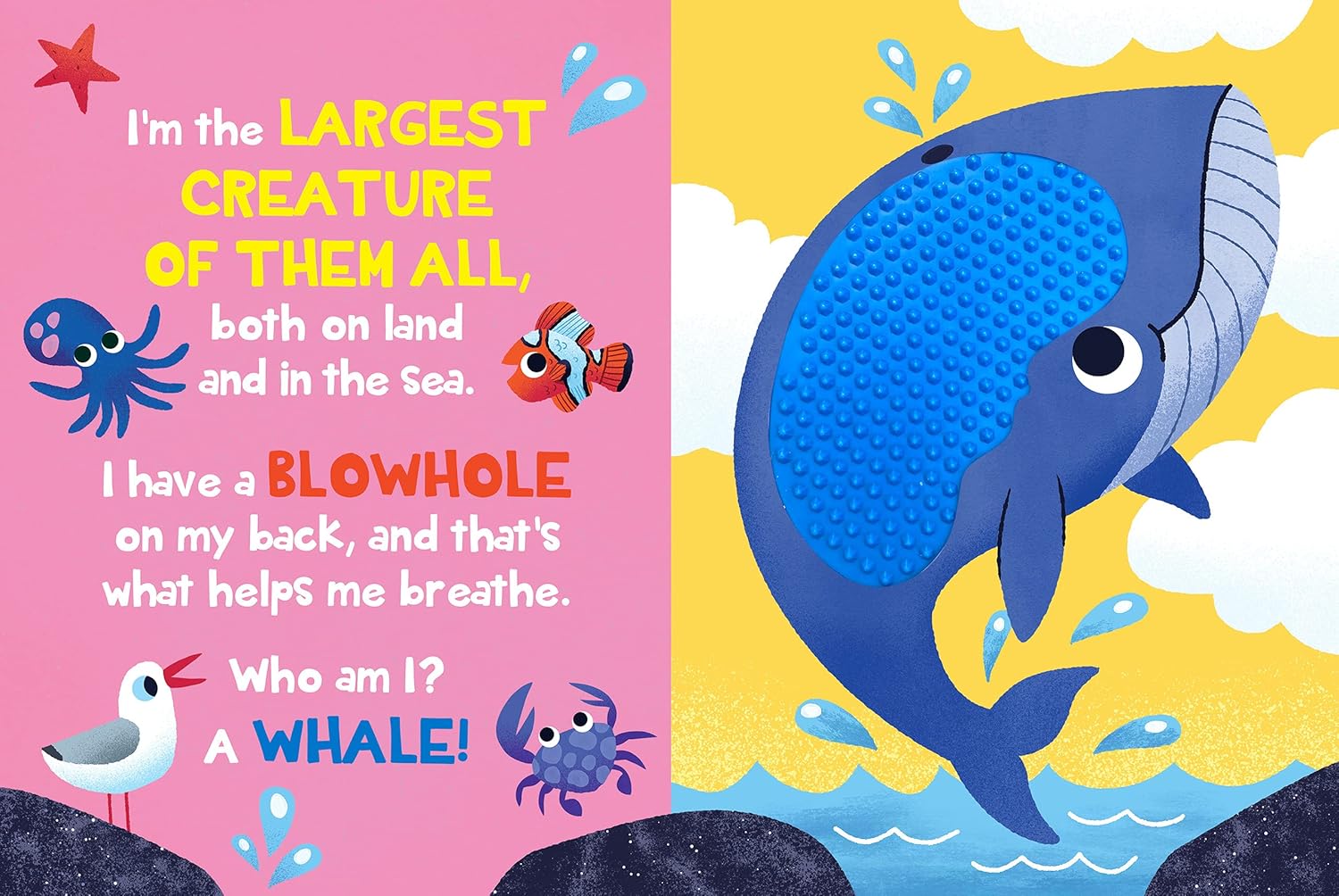 Touch And Feel Flap Book Under The Sea