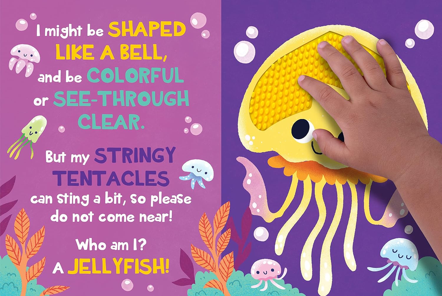 Touch And Feel Flap Book Under The Sea