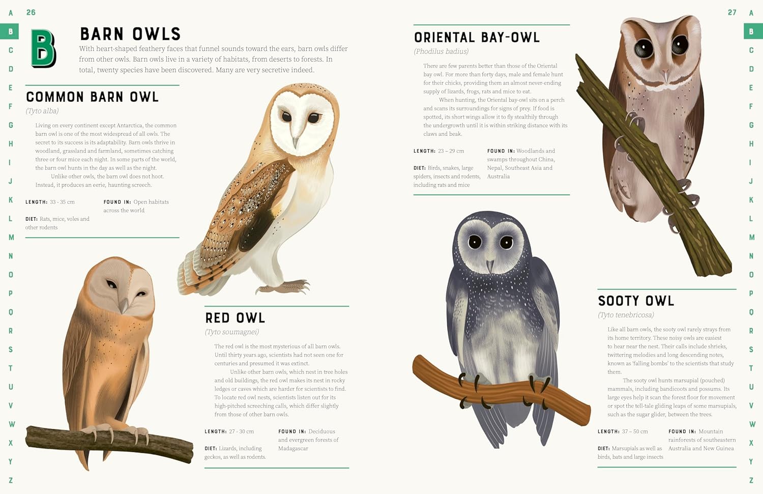 Encyclopedia Of Birds