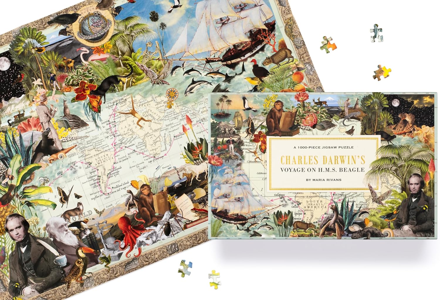 Charles Darwin's Voyage On H.M.S. Beagle: A 1000-Piece Jigsaw Puzzle