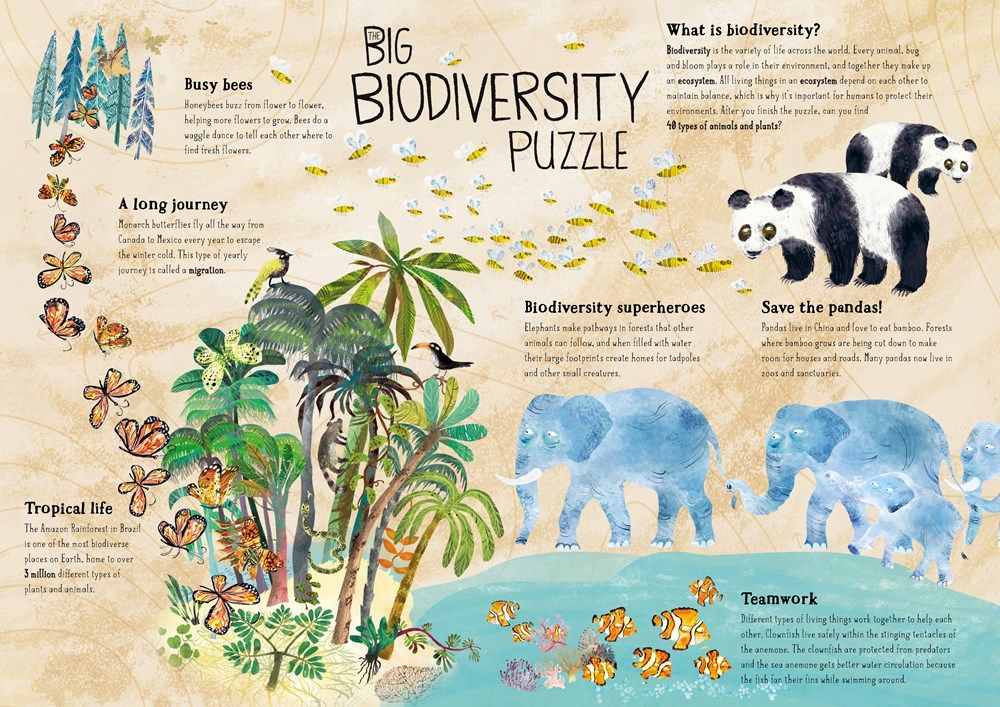 The Big Biodiversity Puzzle: A Shaped Jigsaw Puzzle by Yuval Zommer