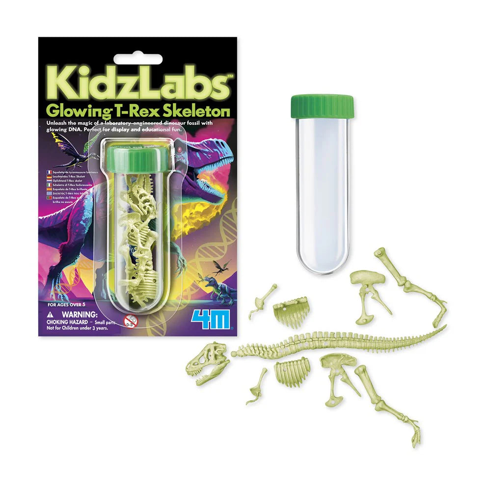 4M KidzLabs Glowing T-Rex Skeleton