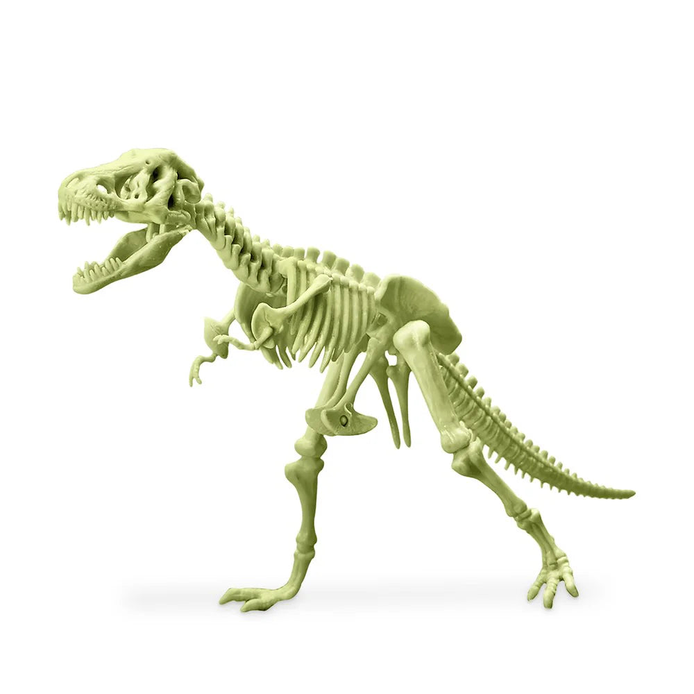 4M KidzLabs Glowing T-Rex Skeleton