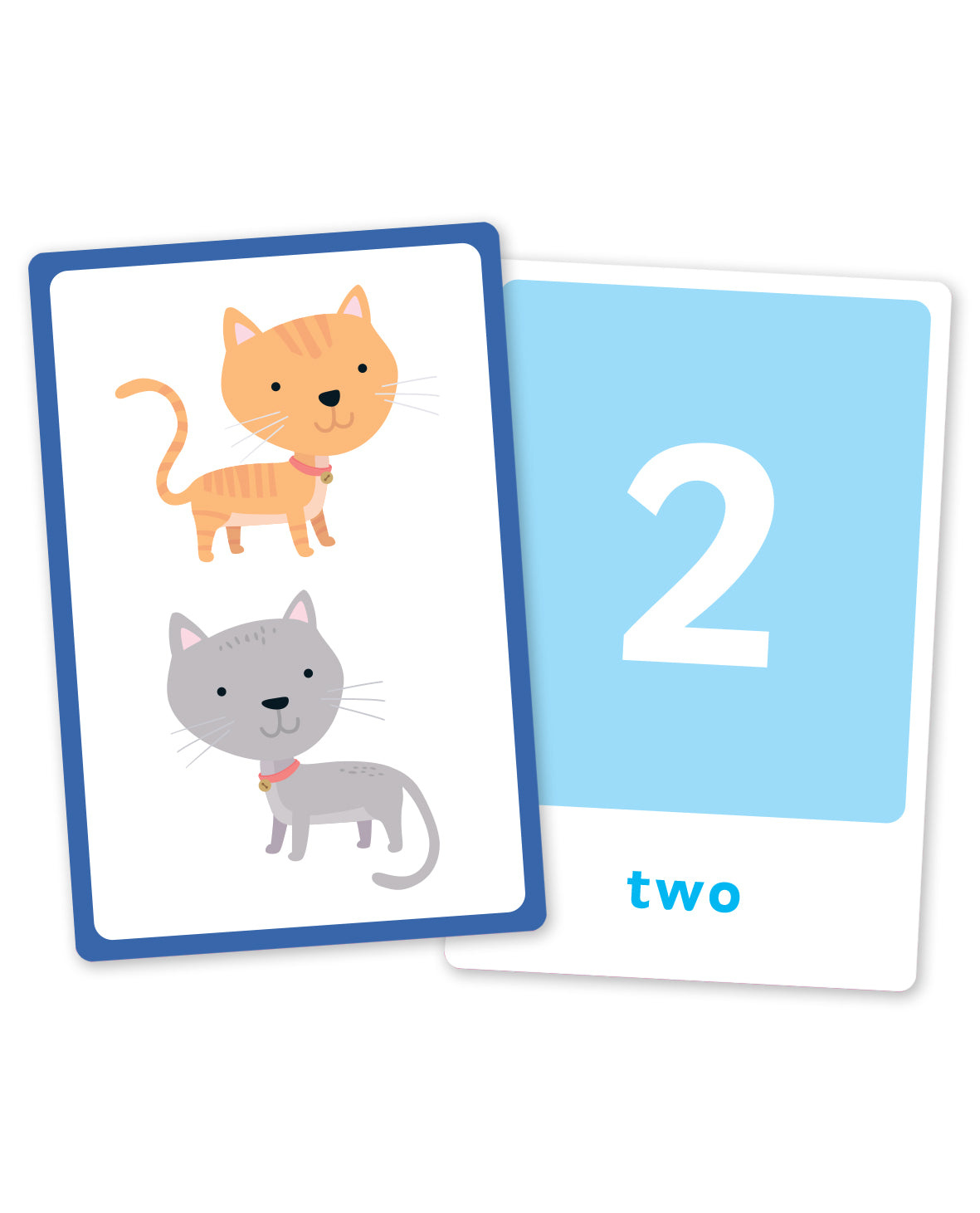 Junior Explorers Large Flashcards: First Numbers