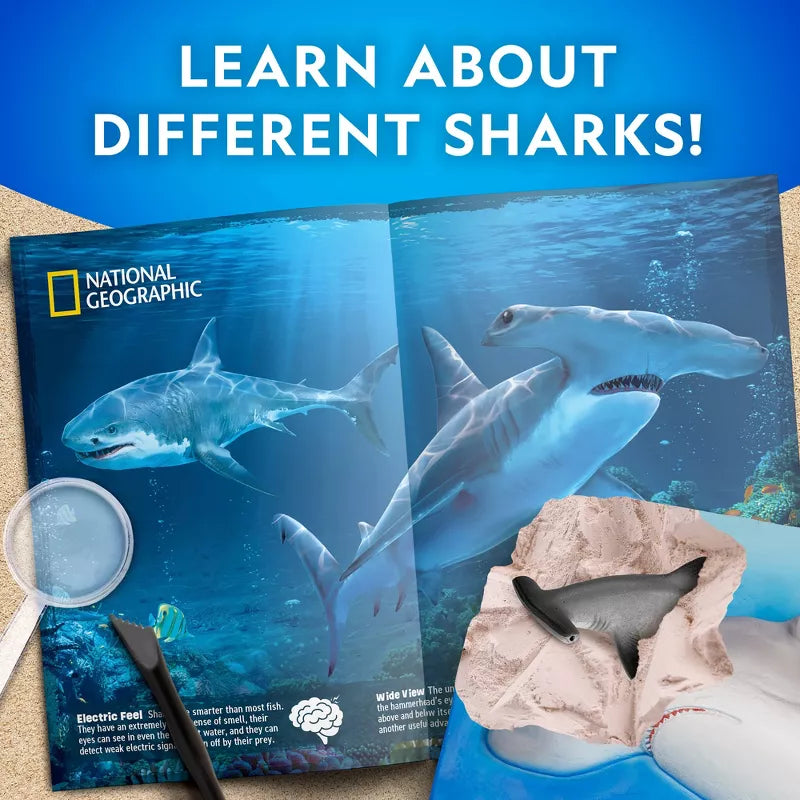 National Geographic Hammerhead Shark Dig Kit