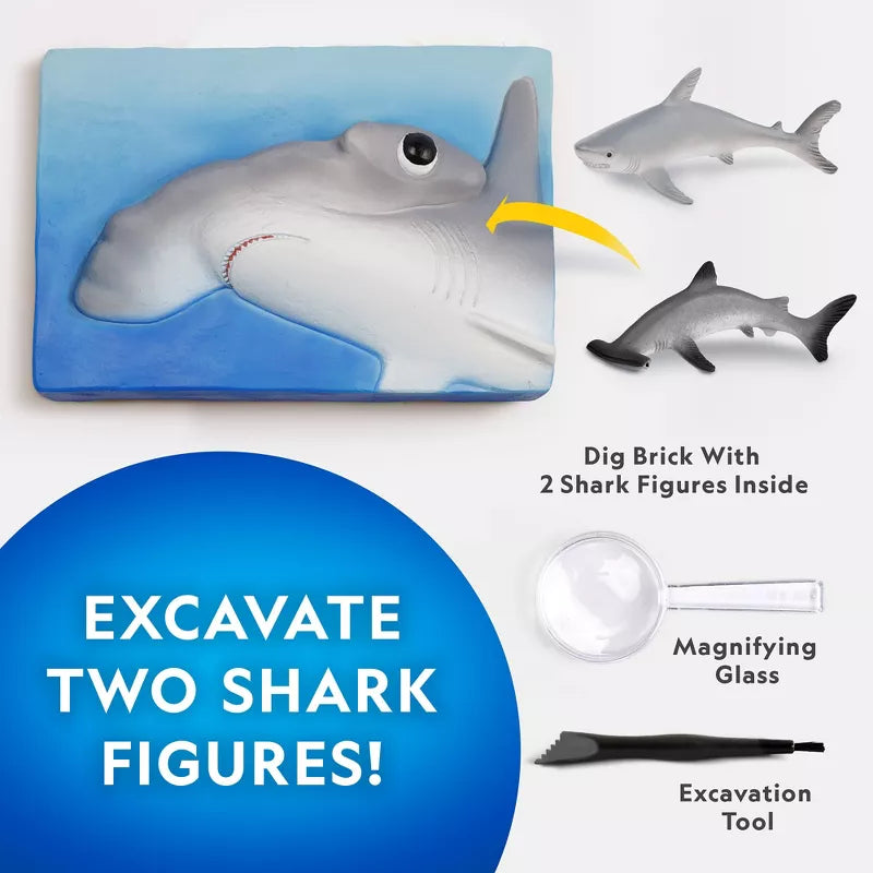 National Geographic Hammerhead Shark Dig Kit