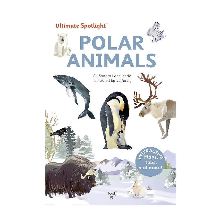 Ultimate Spotlight: Polar Animals