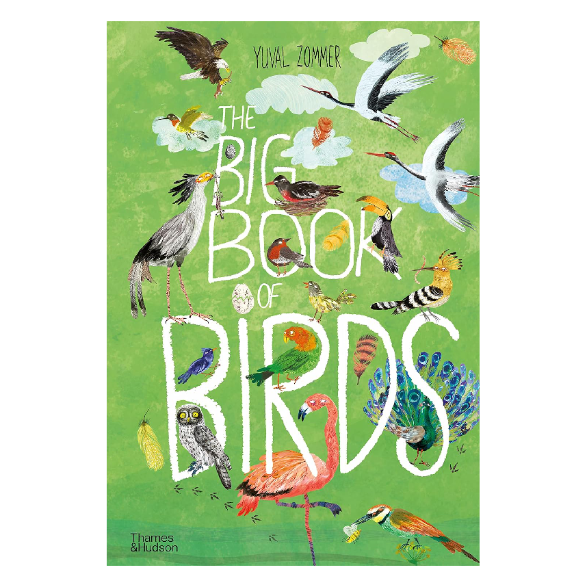 The Big Book of Birds