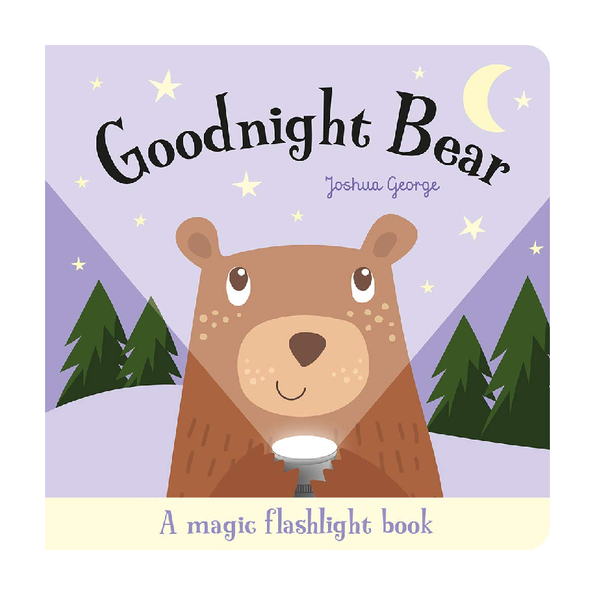 Torchlight Book: Goodnight Bear