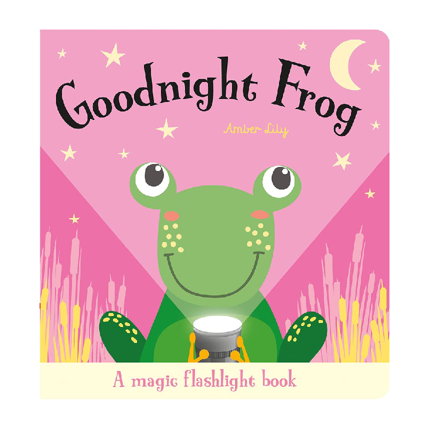 Torchlight Book: Goodnight Frog