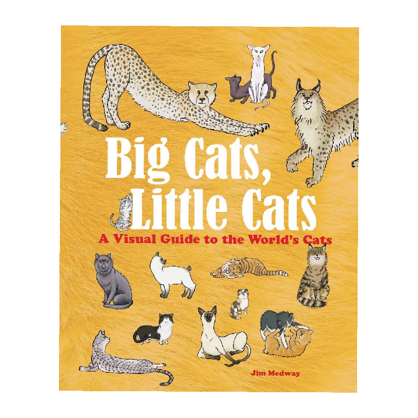 Big Cats, Little Cats: A Visual Guide to the World’s Cats