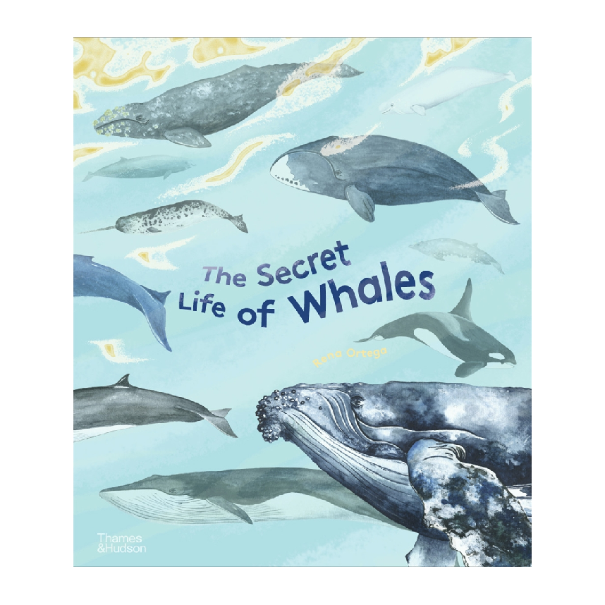 The Secret Life of Whales