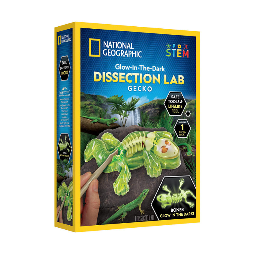 National Geographic Gecko Dissection Lab