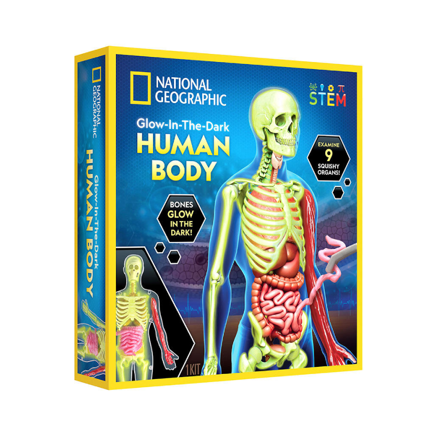 National Geographic Human Body Science Kit