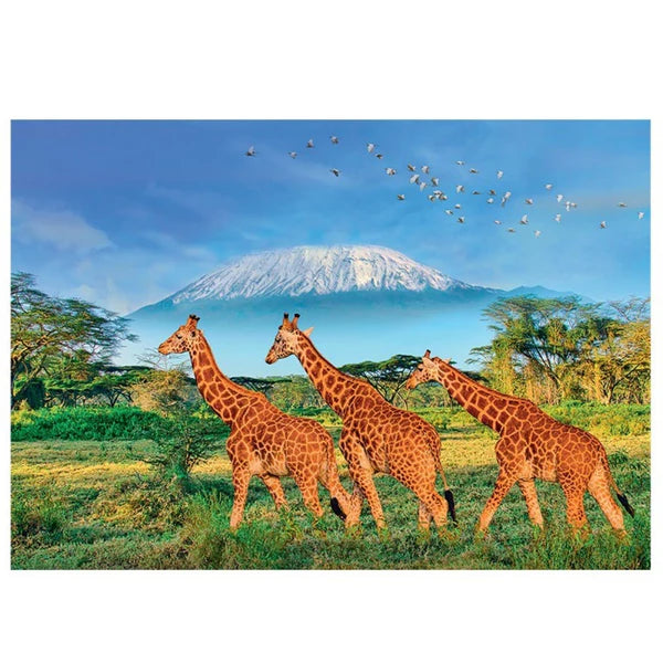 Sentosphere Calypto Puzzle 500pc Giraffes