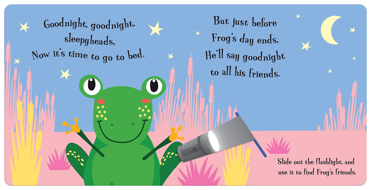 Torchlight Book: Goodnight Frog