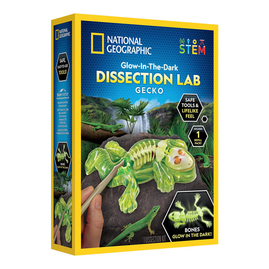 National Geographic Gecko Dissection Lab