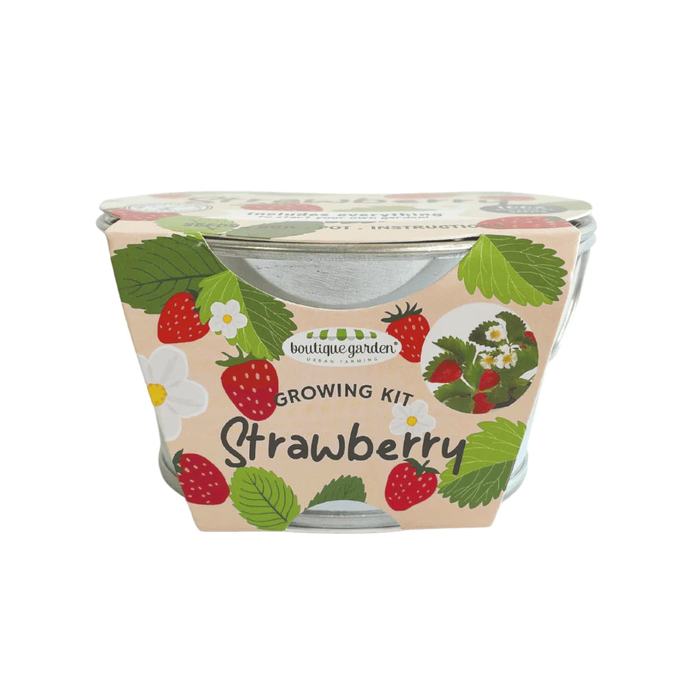 Boutique Garden Coloured Mini Zinc Basin: Strawberry