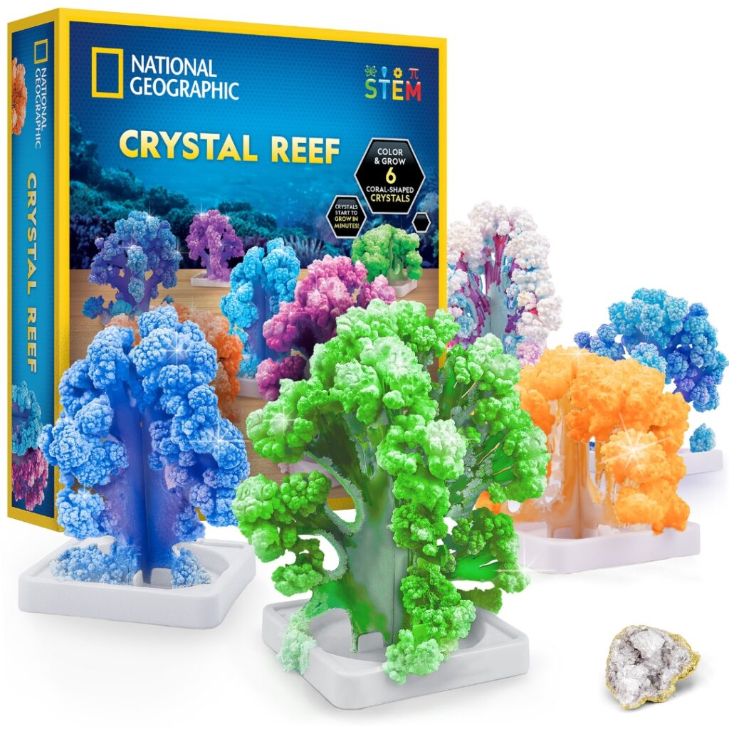 National Geographic Crystal Reef Coral Growing Lab