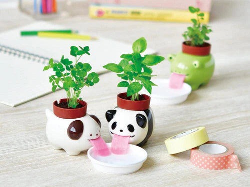 Seishin Peropon Animals Panda: Sweet Basil