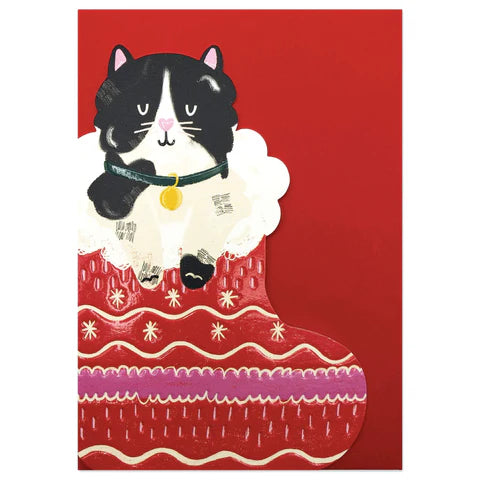 Raspberry Blossom Black & White Cat in Christmas Stocking