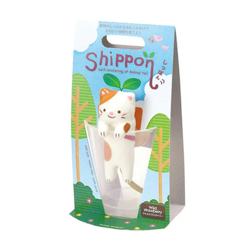 Seishin Shippon Cat: Strawberry