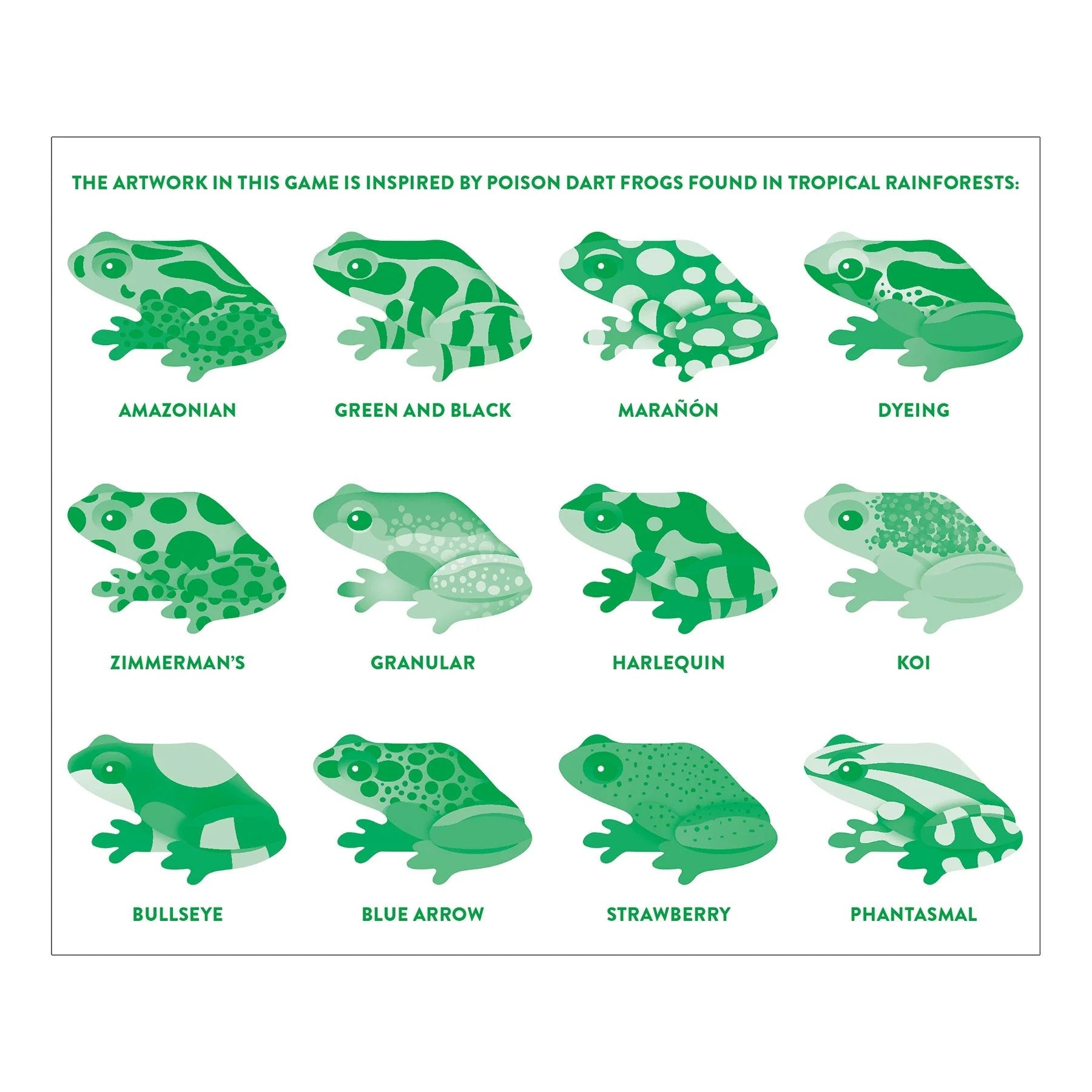 Mudpuppy Shaped Memory Match Game: Tropical Frogs