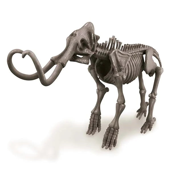 4M KidzLabs Dig A Dinosaur Skeleton: Mammoth