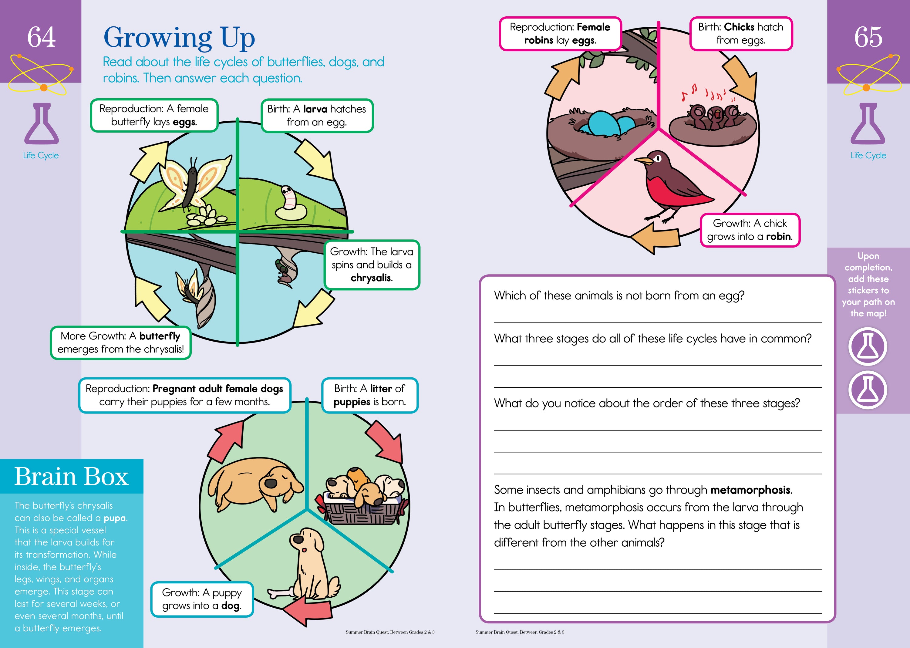 Brain Quest Summer Brain Quest: Between Grades 2 & 3