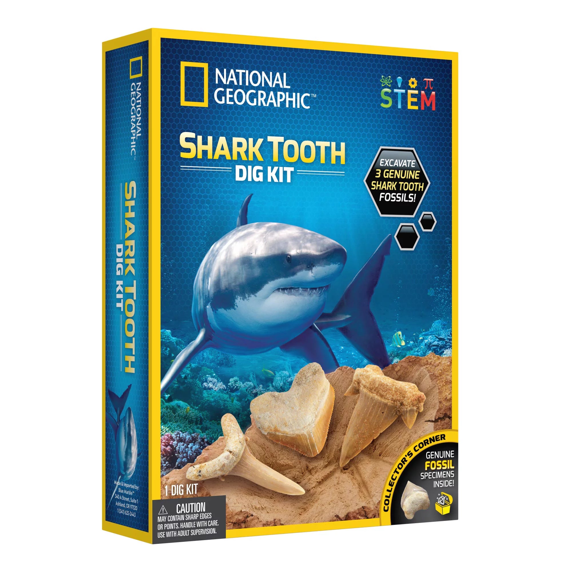 National Geographic Shark Teeth Dig Kit