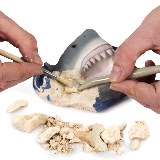 National Geographic Shark Teeth Dig Kit