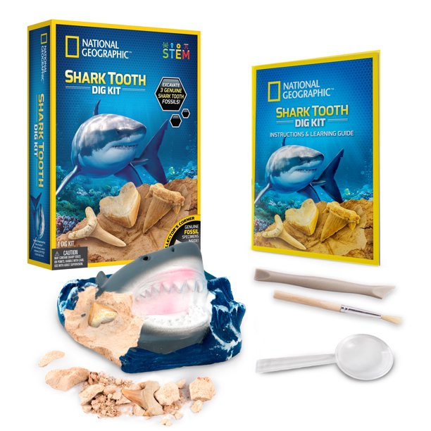 National Geographic Shark Teeth Dig Kit